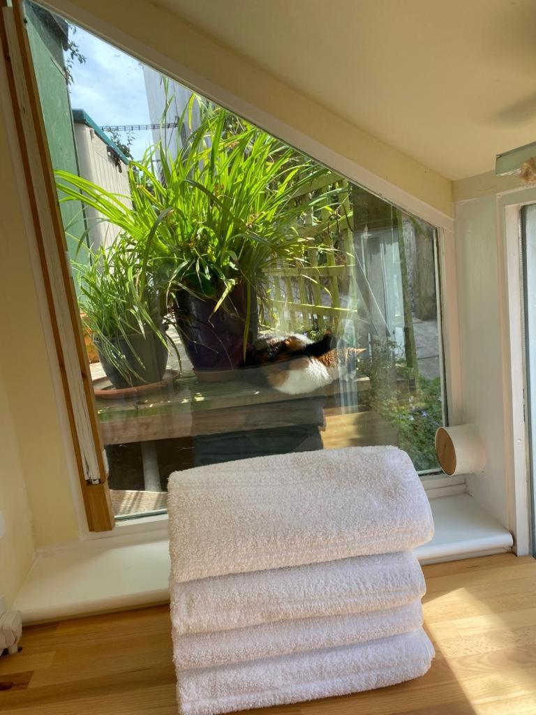 Lyme Clifftop Hideaway Lyme Regis Exterior photo